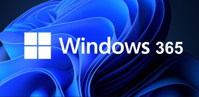 Windows 365 Setup
